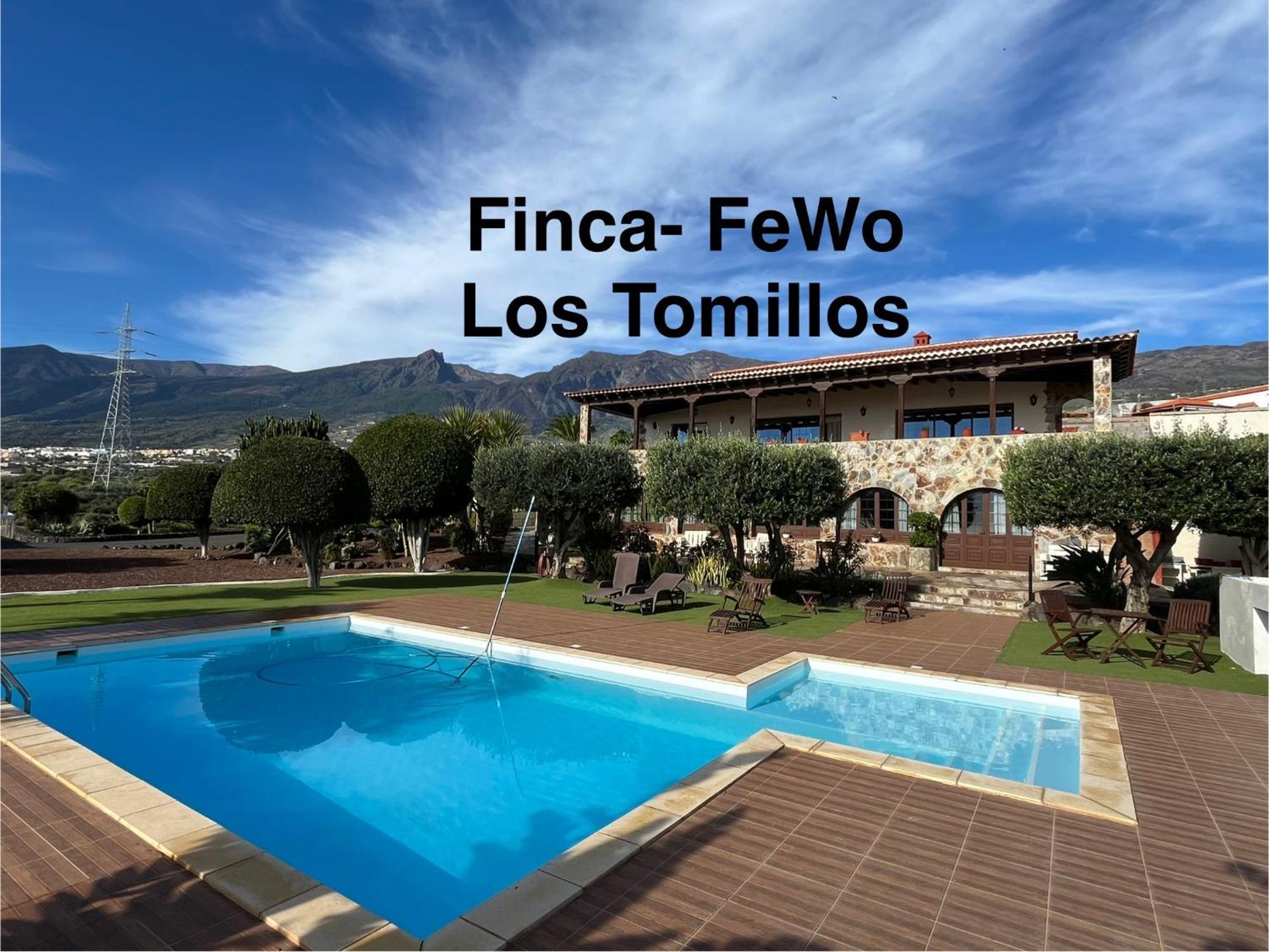 Tomillos * Candelaria
